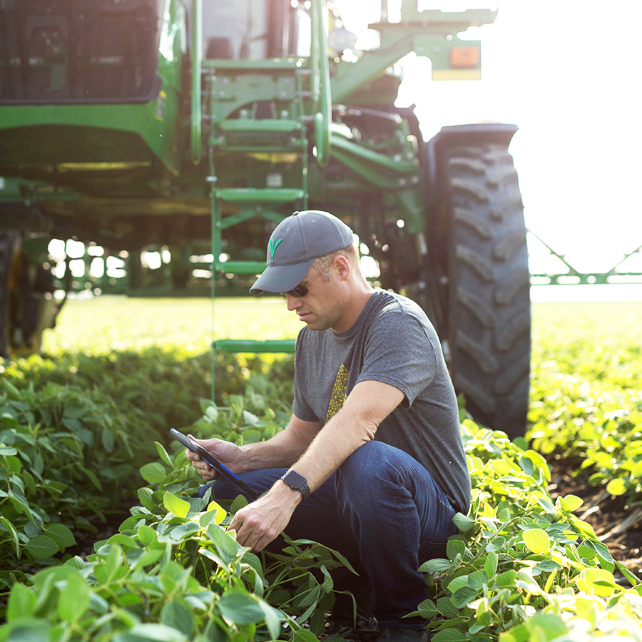 Agriculture Image