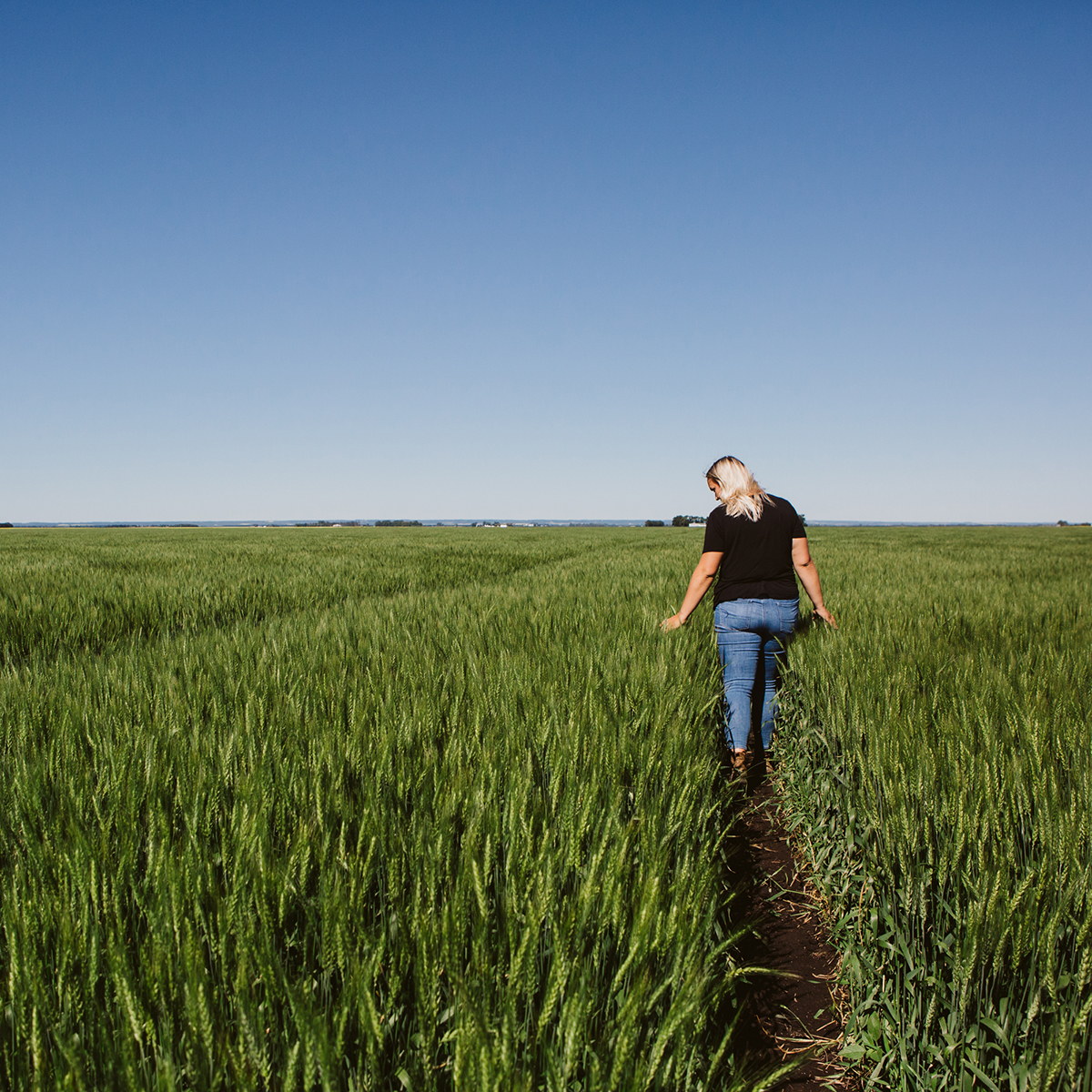 Agriculture Image